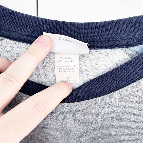 Disneyland Resort Unisex Contrasting Ragland Logo Sweatshirt - Picture 4 of 7